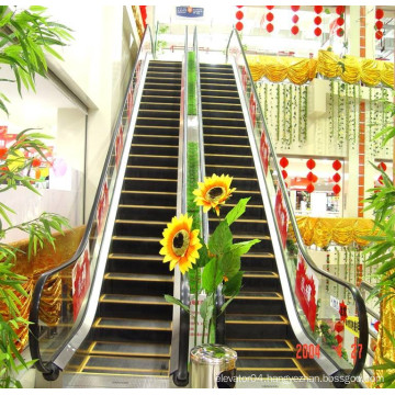 2015 New Product Outdoor Long Escalator